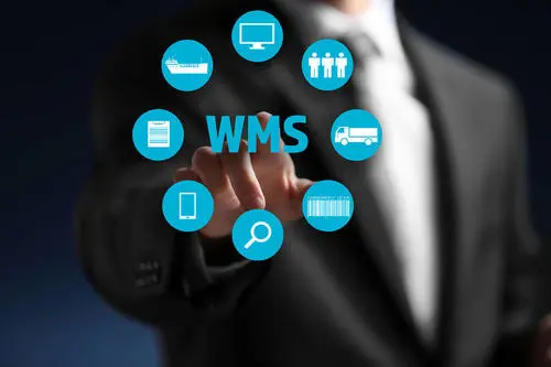 WMS系统的四大分类